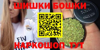 индика Нальчик