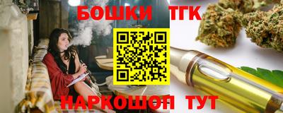 индика Нальчик