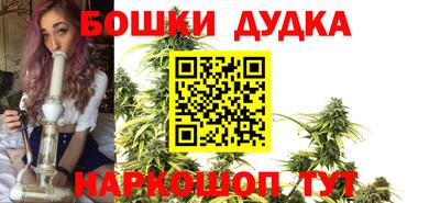 индика Нальчик