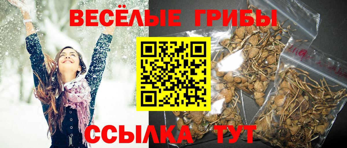 Галлюциногенные грибы Magic Shrooms Тайшет